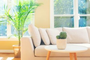 a living room flooded with natural sunlight