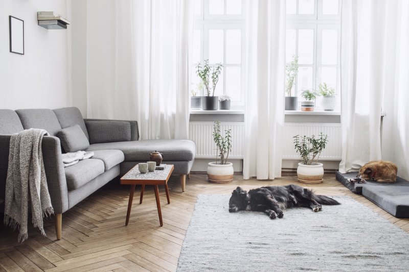 interior design of living room