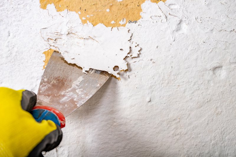 professional getting rid of old paint